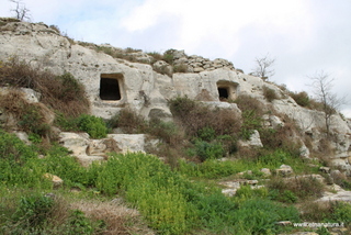 Necropoli Poggio Mieta